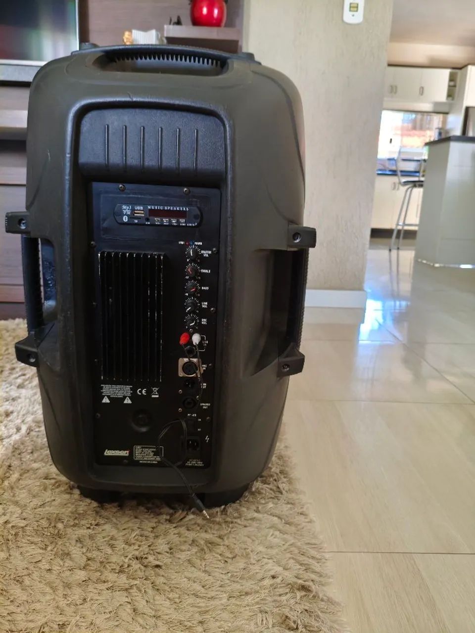 Caixa de som lexsen 15 polegadas+ microfone+ cabos