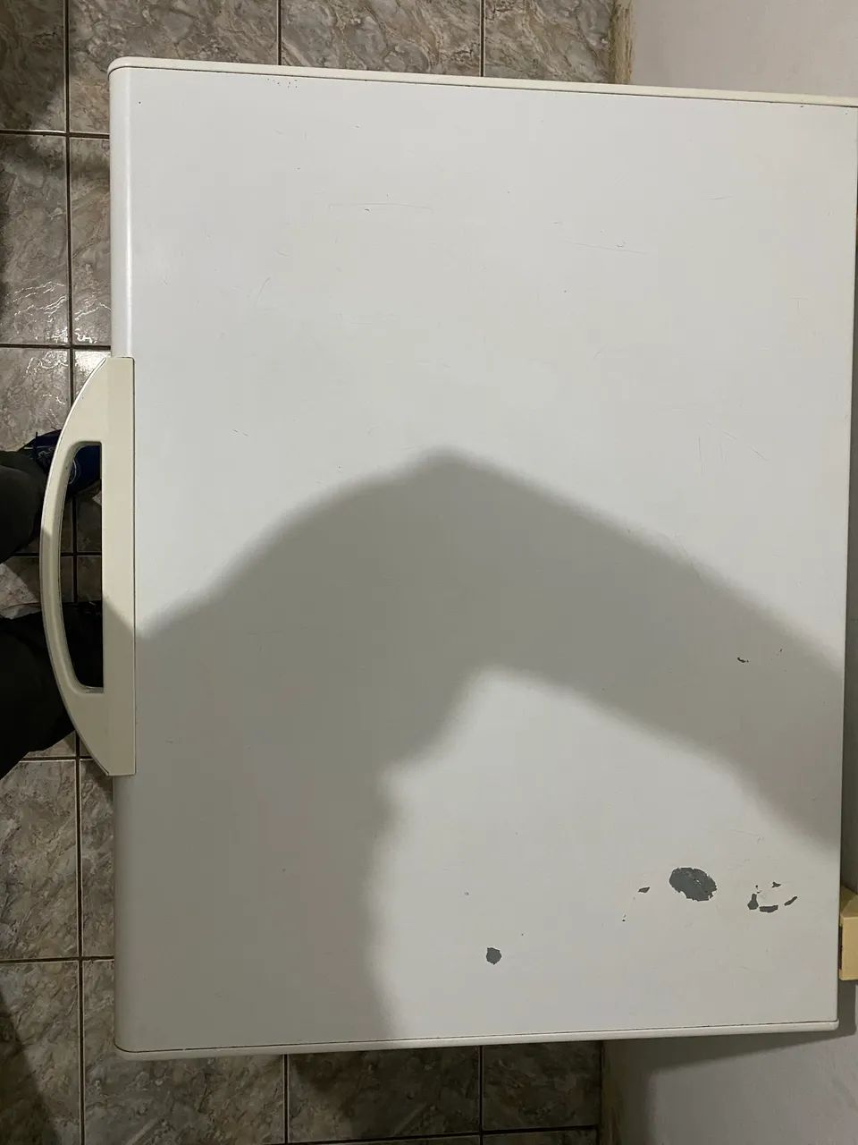 Freezer Electrolux