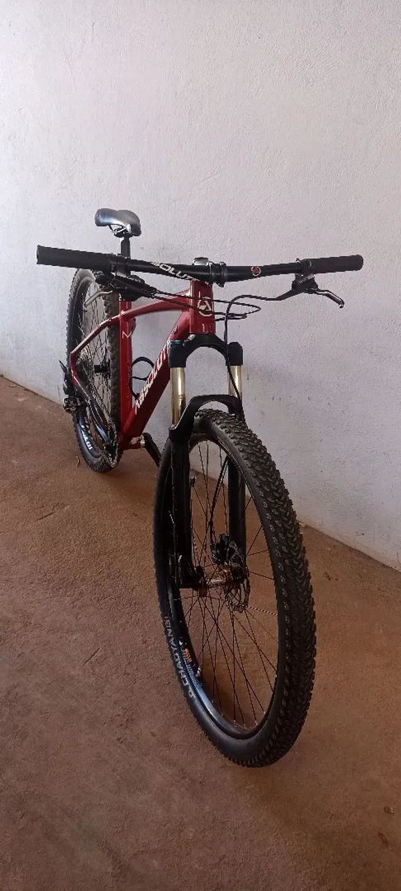 Bike absolute wild