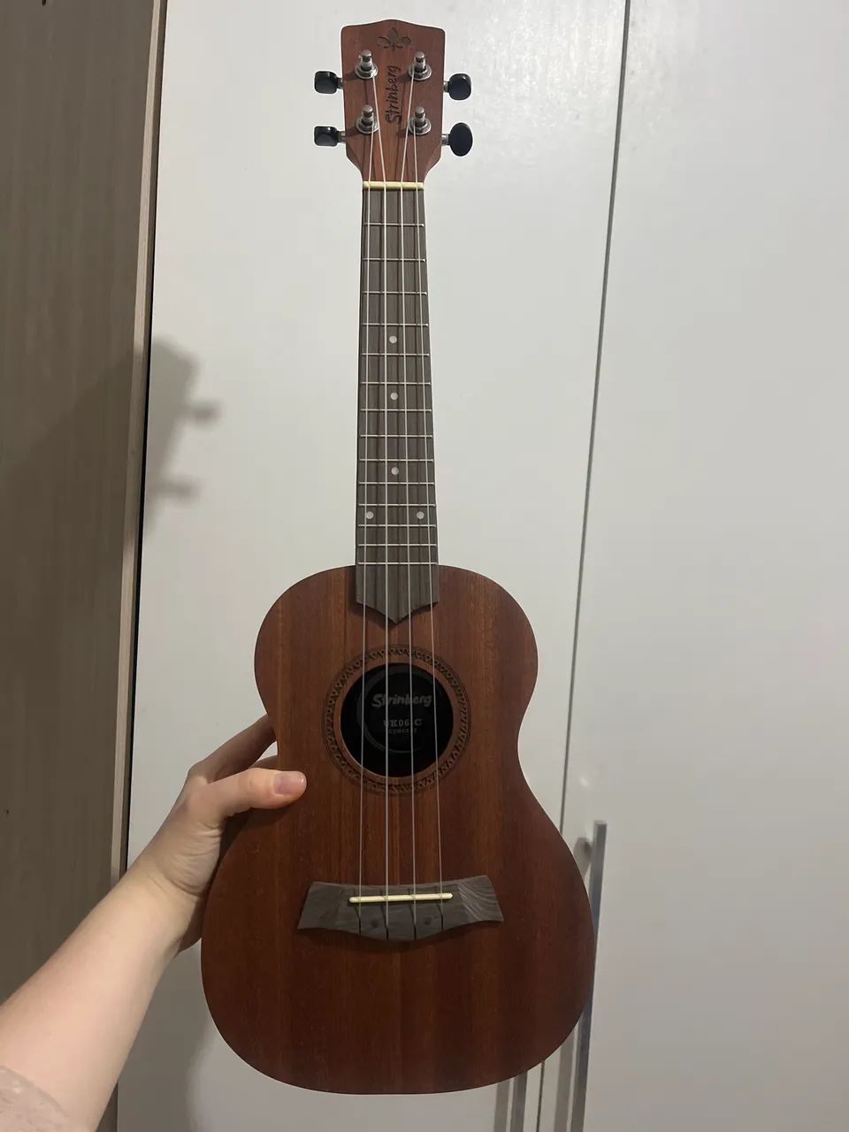 Ukulele Strinberg Concert 