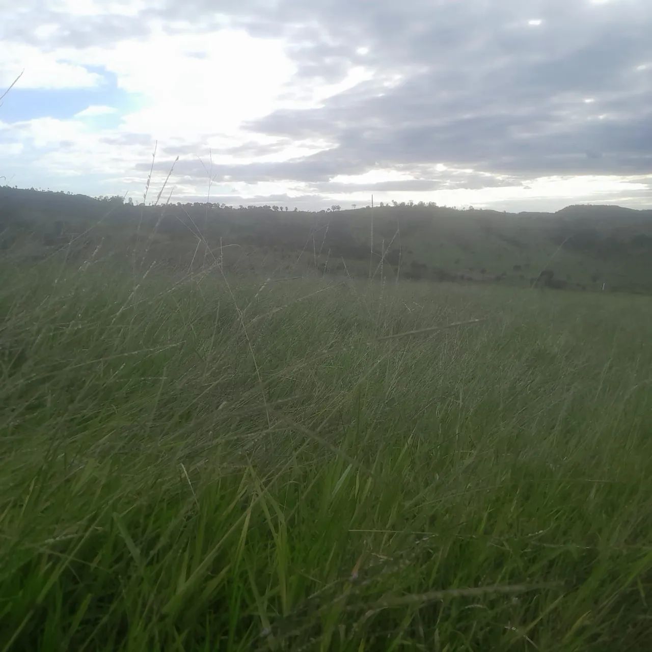 Terreno rural em mateus leme  - Foto 5