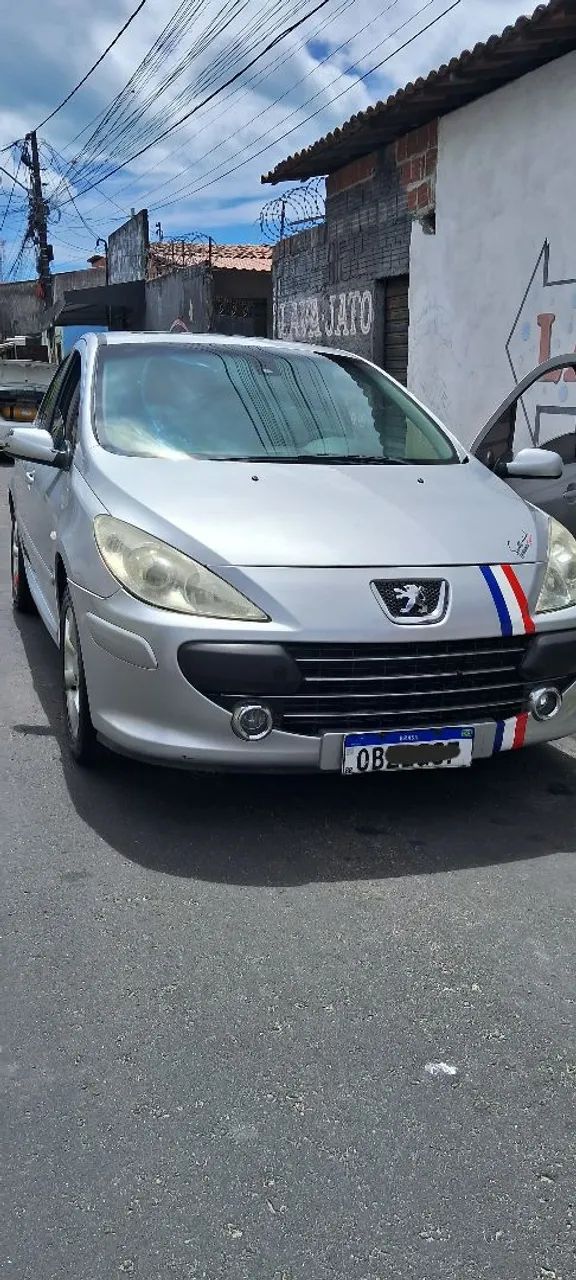 307 manual
