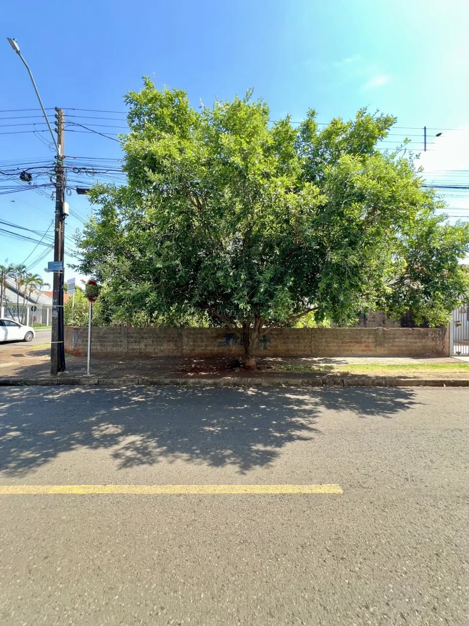 OPORTUNIDADE! Terreno de Esquina para Alugar ? Rua dos Cravos - Foto 2