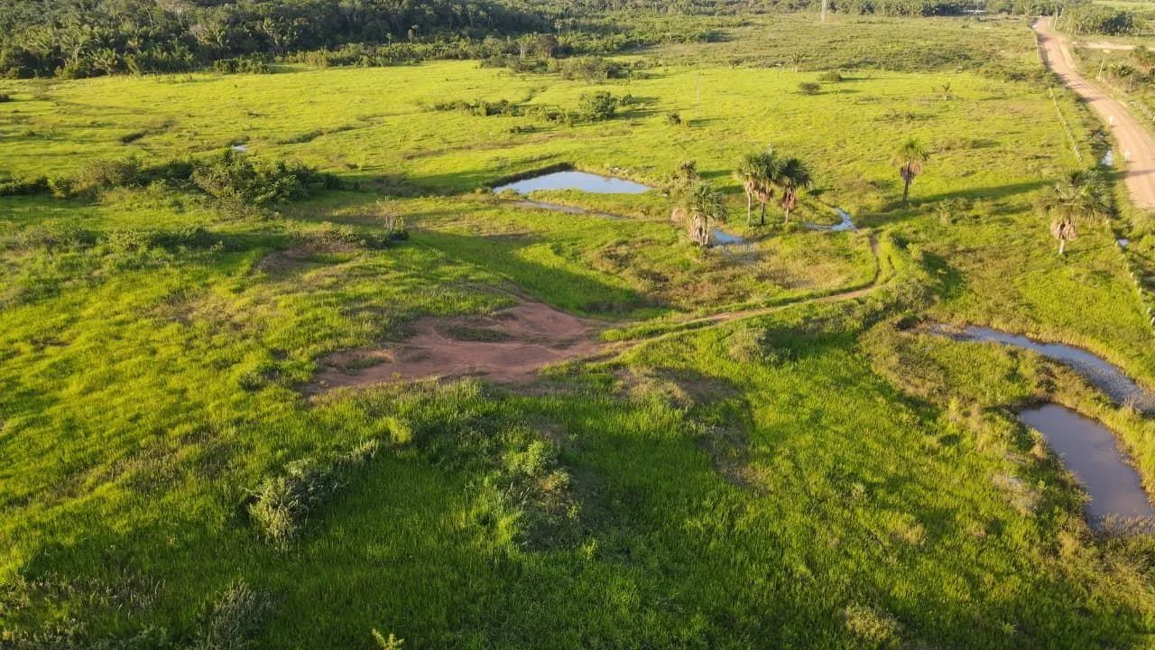FAZENDA À VENDA - REGIÃO DO CANTÁ/RR - Foto 2