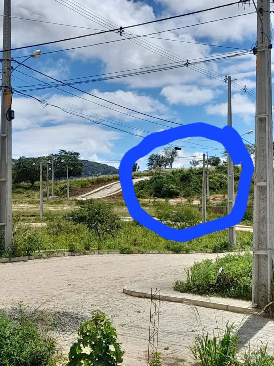 Repasso Terreno em Bezerros/PE - Foto 4