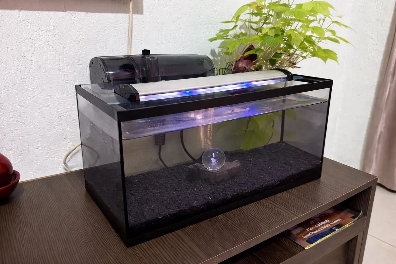 Aquário completo 30 litros 