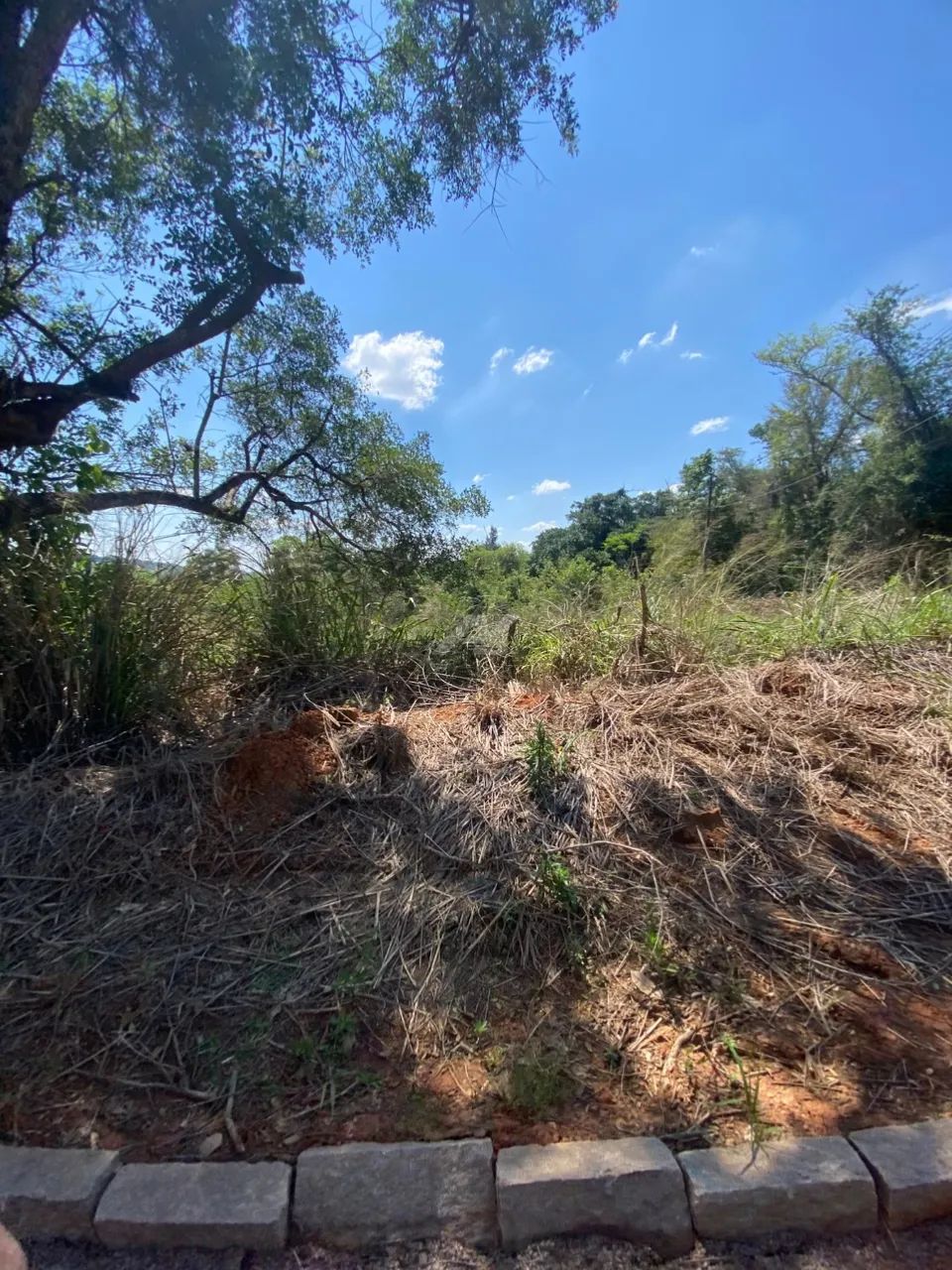 terreno - Sousas - Campinas - Foto 4