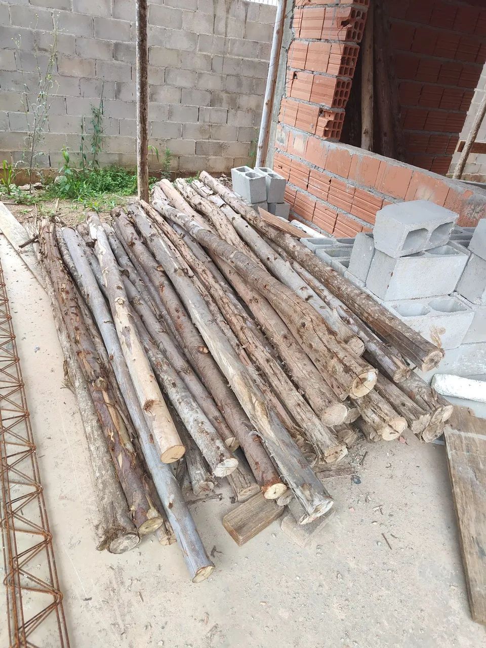 Bracatinga e escora de eucalipto  - Foto 2