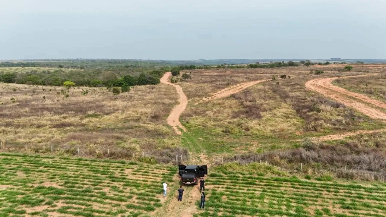 Fazenda de oportunidade  - Foto 4