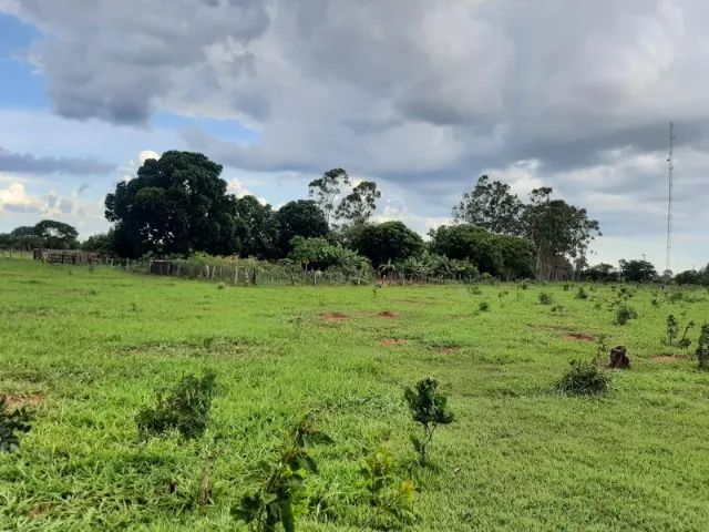 Vendo sítio de 24,799 Hectare em Bataguassu - MS - Foto 5
