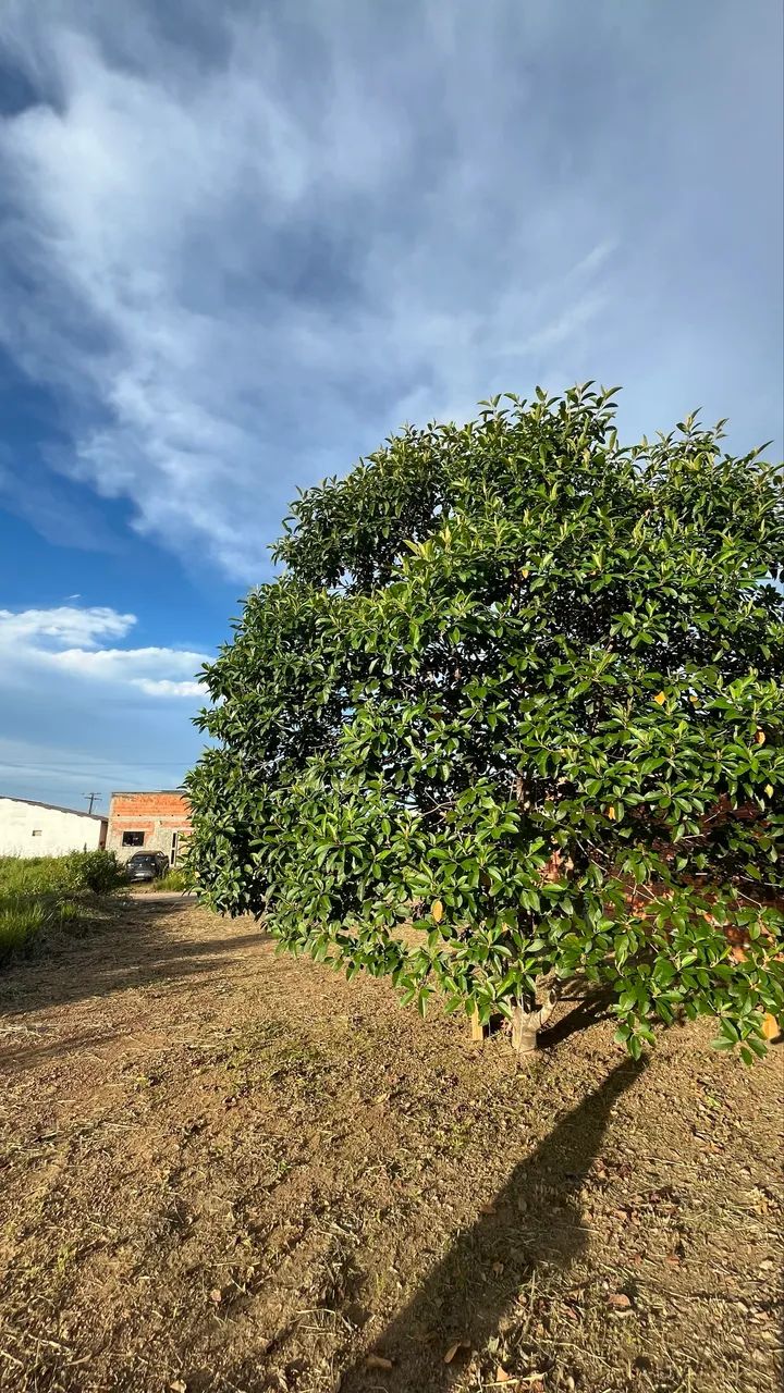 Repasse de lote no Terra Nova Solaris - Foto 3