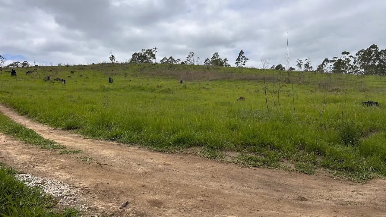 Terreno Rural para Venda em Salesópolis, Alegre