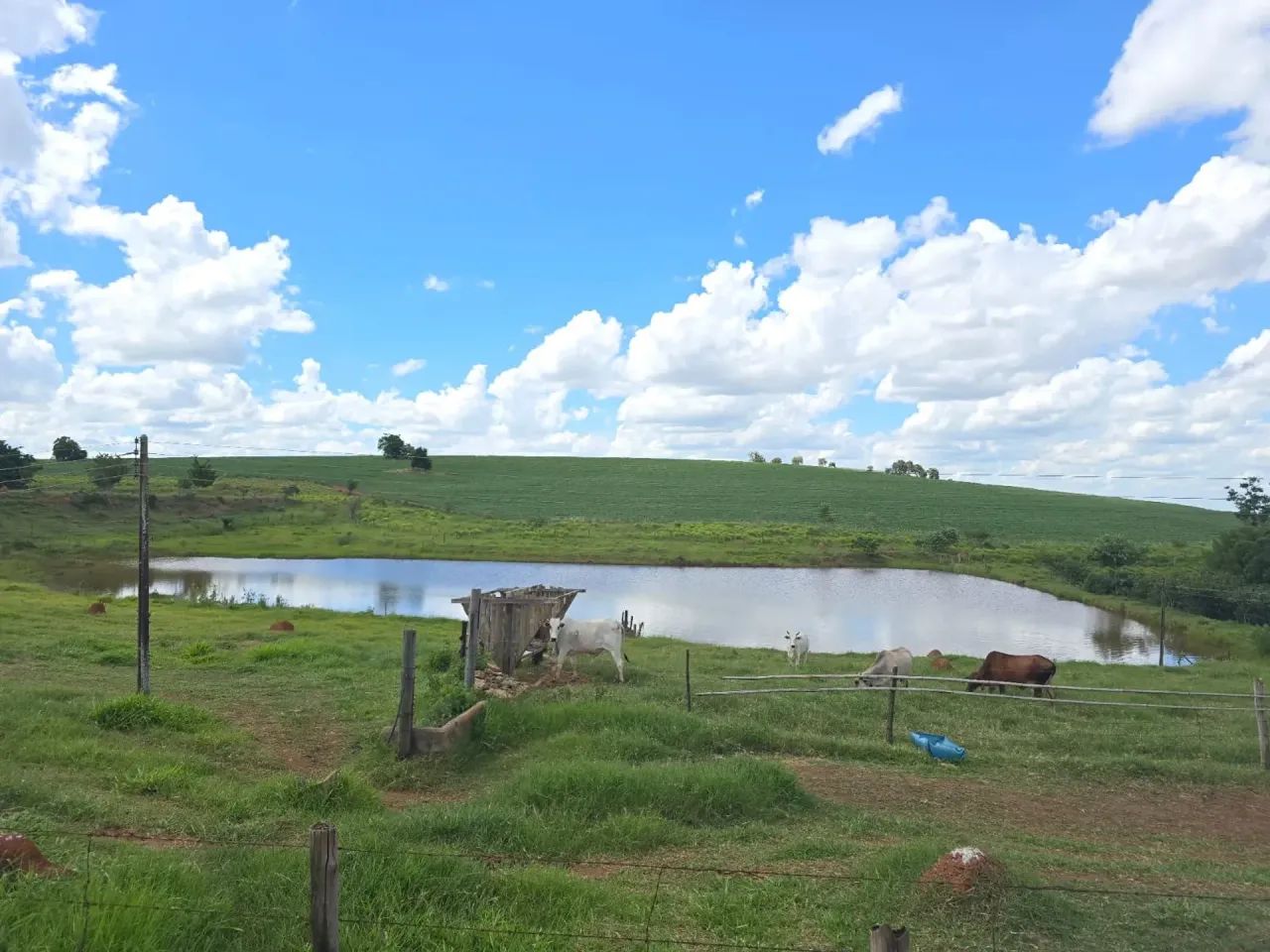 Fazenda a venda Tatuí SP - Foto 3