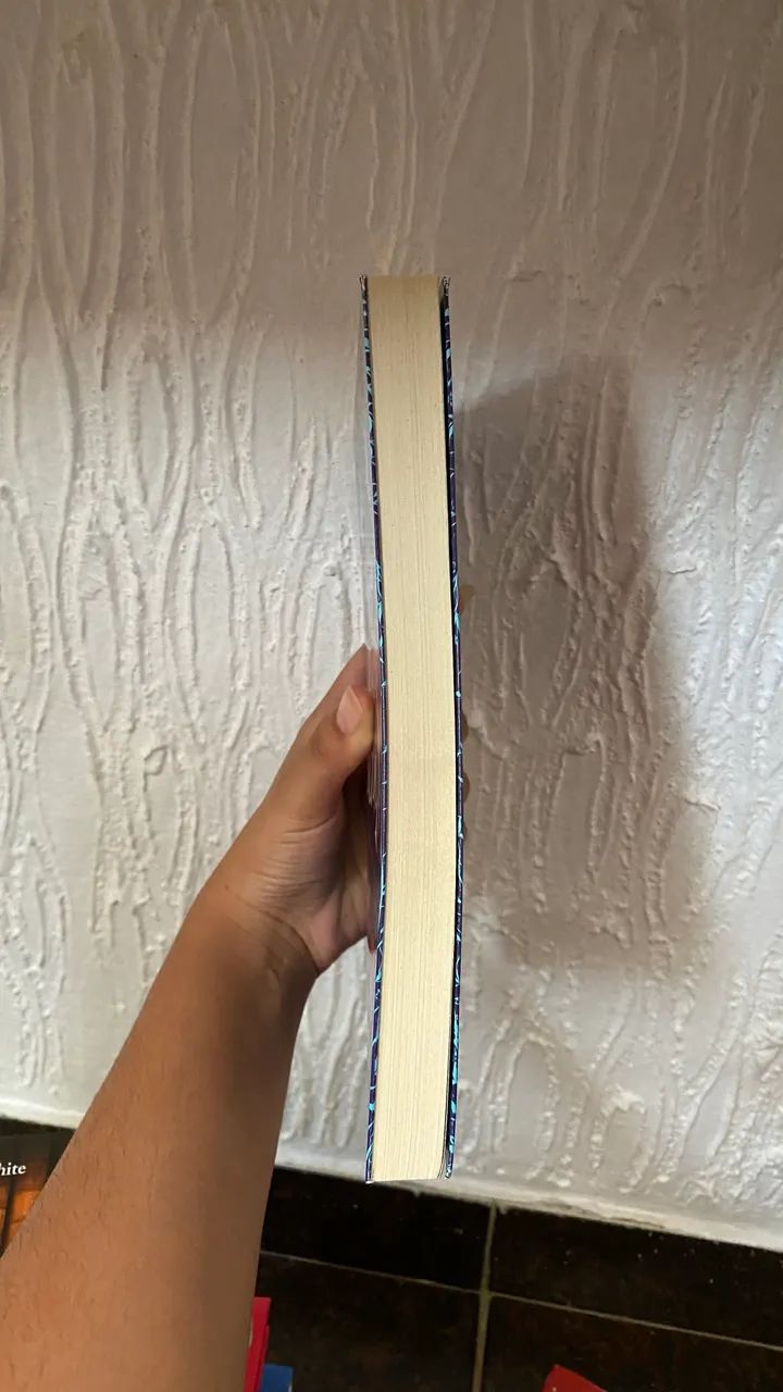 Livro - Foto 4