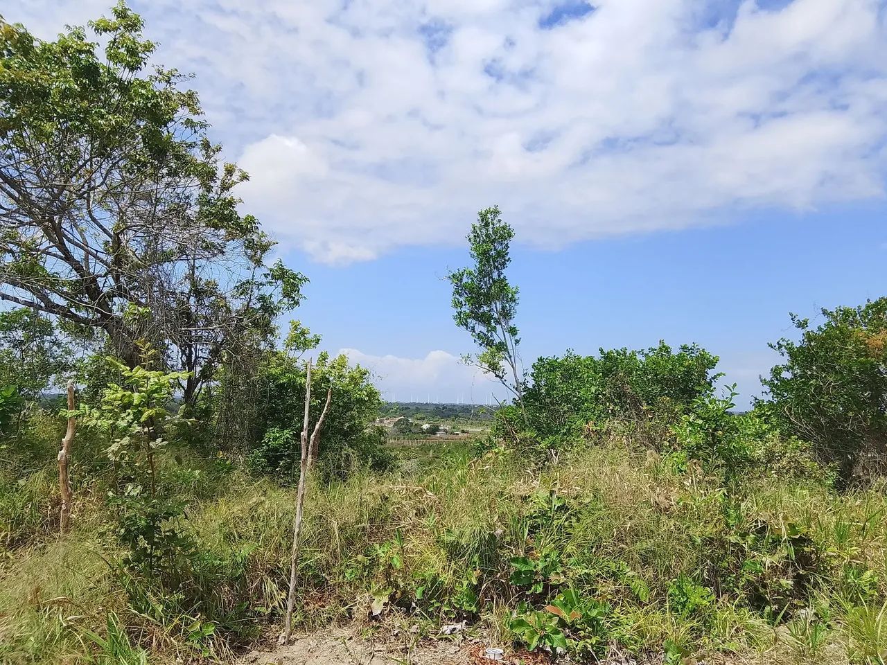 Terreno 8x20 com visão panorâmica privilegiada - Foto 2