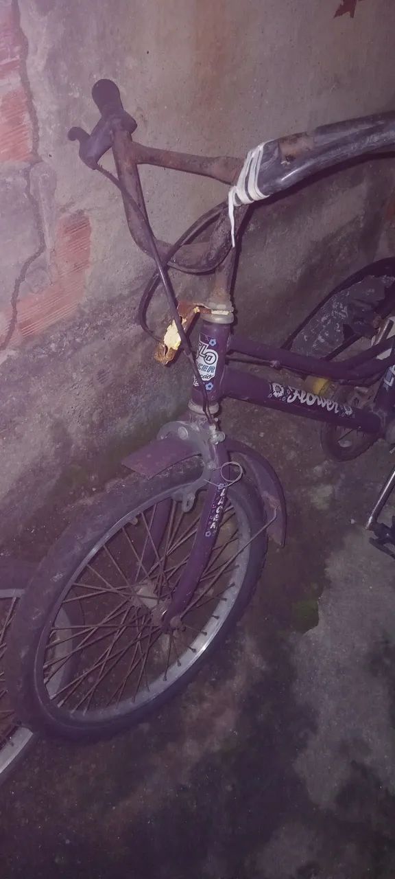 100 as duas Bicicletas - Foto 2