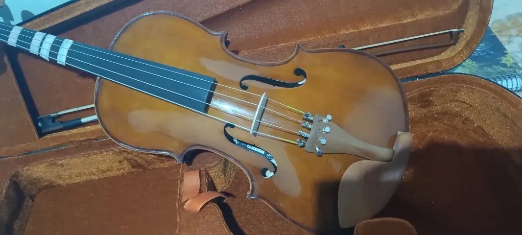 Viola de Arco Eagle, VA 152