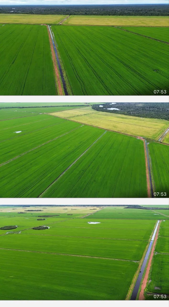 Fazenda no Tocantins 12.000 hectares  - Foto 3