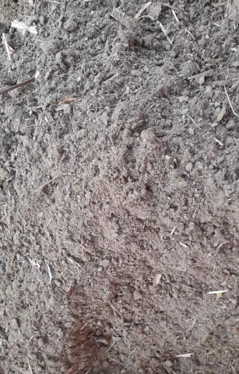 Esterco bovino Puro  - Foto 2