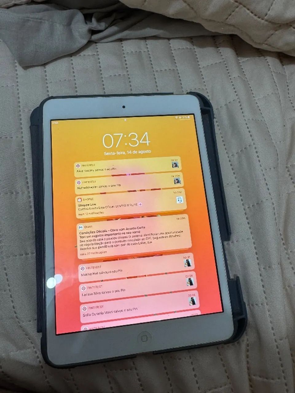 iPad mine 2