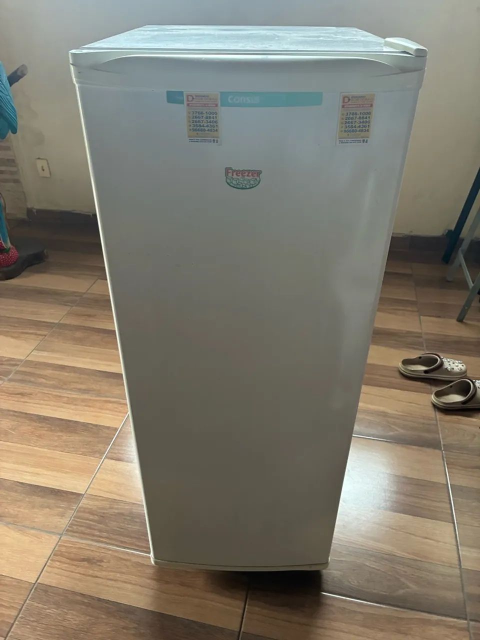 Vendo freezer consul 