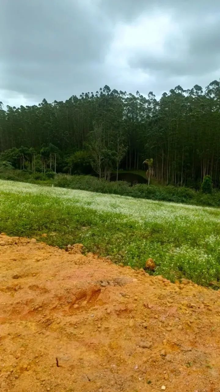 Loteamento em expansão  oportunidade real de valorização! - Foto 3