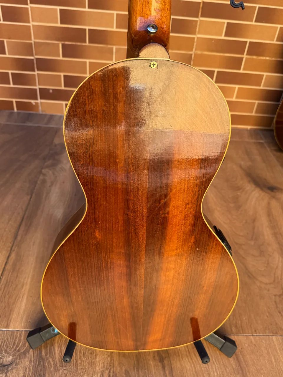 Viola Rosini - Foto 3