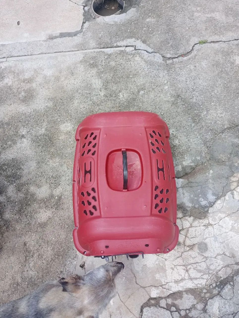 Vende-se caixa de transporte para pet!  - Foto 2