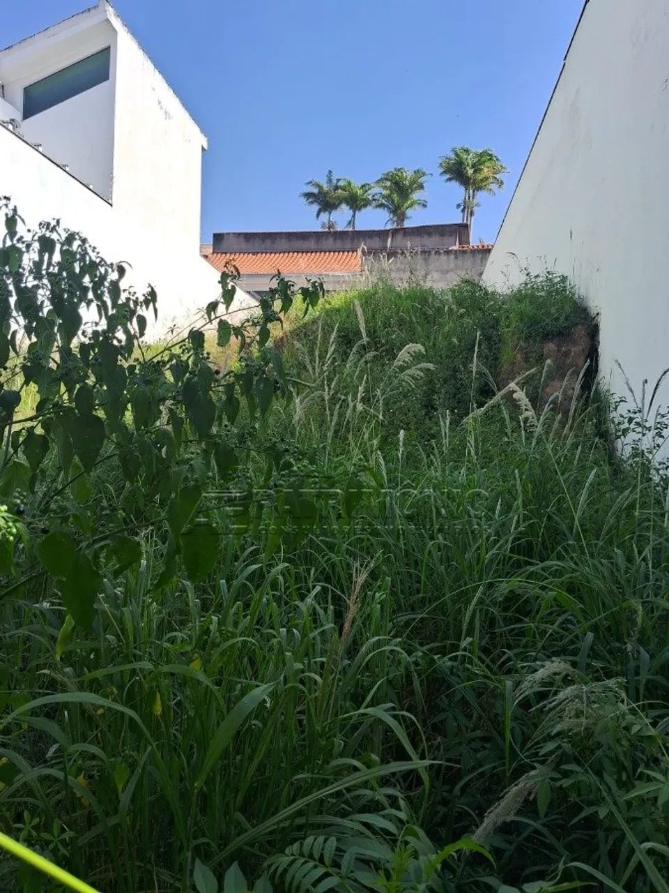 TERRENO COM 340M² - JARDIM EMILIA - Foto 2
