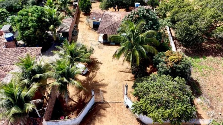 Sítio com casa e fruteiras próximo à Serra das Pias em Palmeira dos Índios
