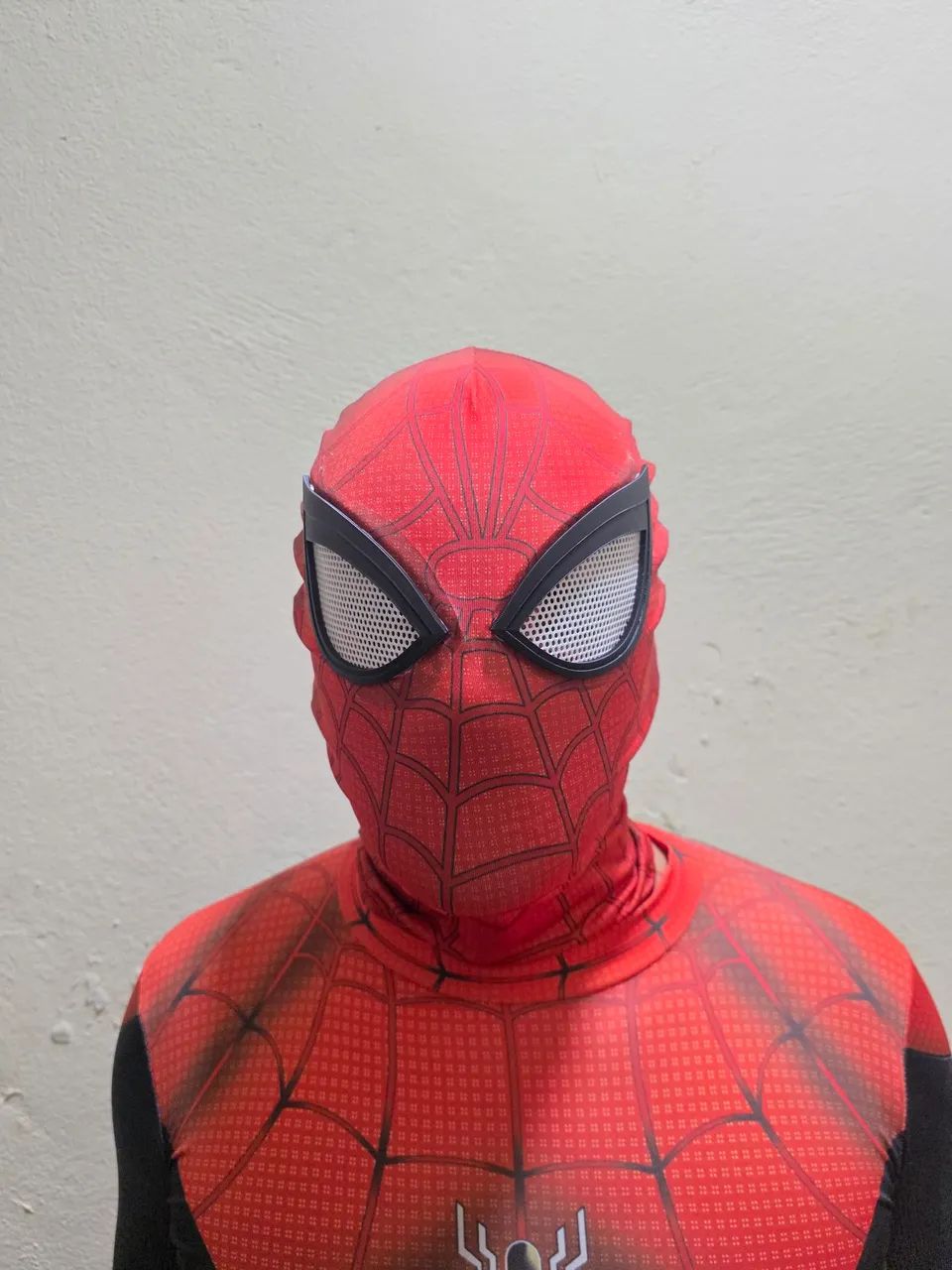 Fantasia homen aranha  - Foto 2