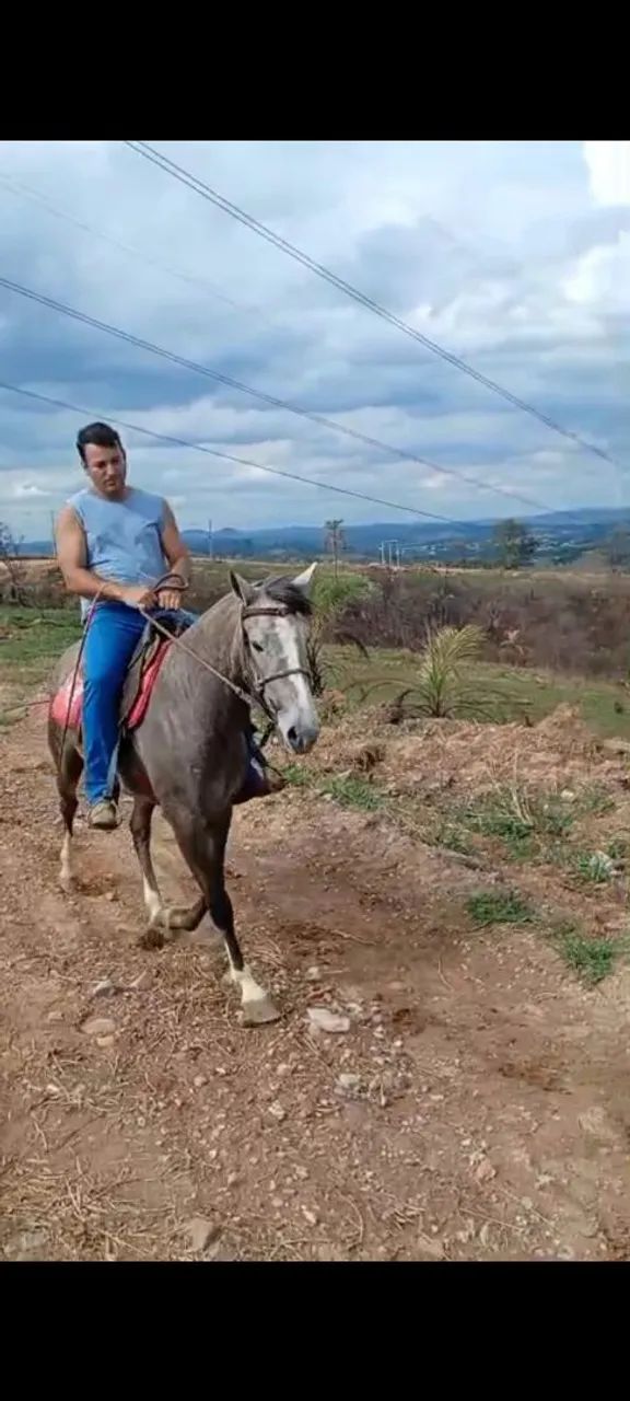 Égua  - Foto 4