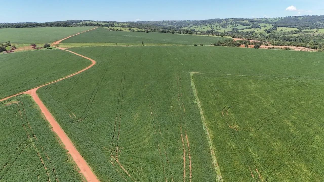 Fazenda em Morrinhos-go - Foto 2