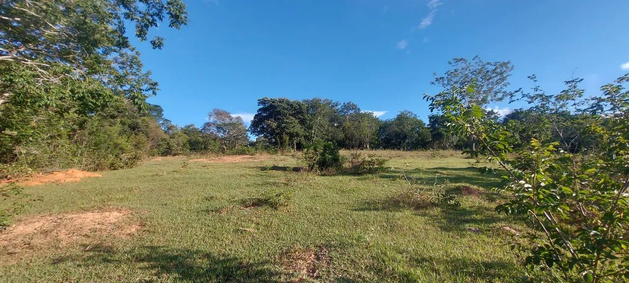 Terreno Comercial as margens da MG 010 - Foto 5