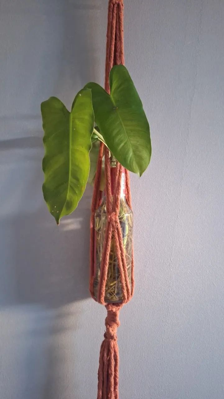 Suporte de planta, de parede - Foto 3