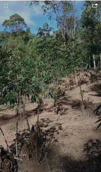 Chácara com 900 m casa simples Maria da Fé MG - Foto 3