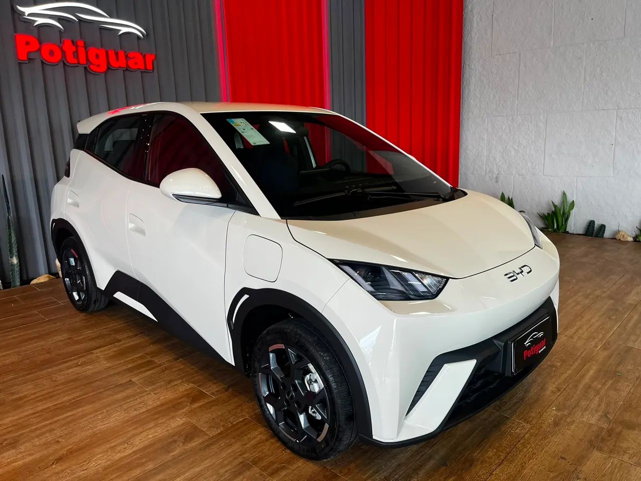 BYD Dolphin Mini (Elétrico) 2027 - Foto 2