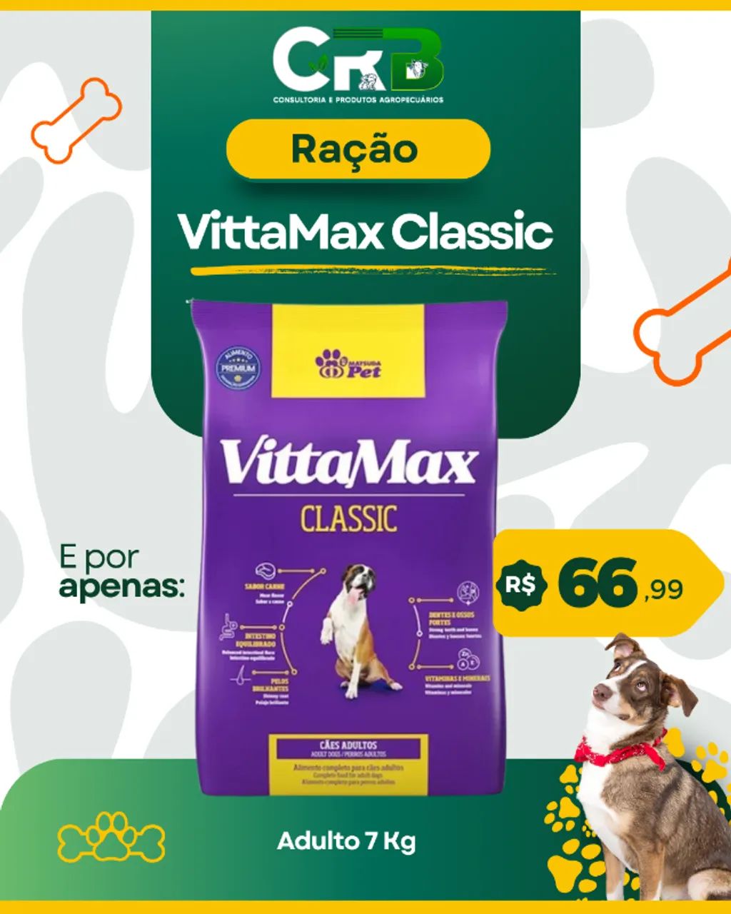 Rações PET - Foto 5