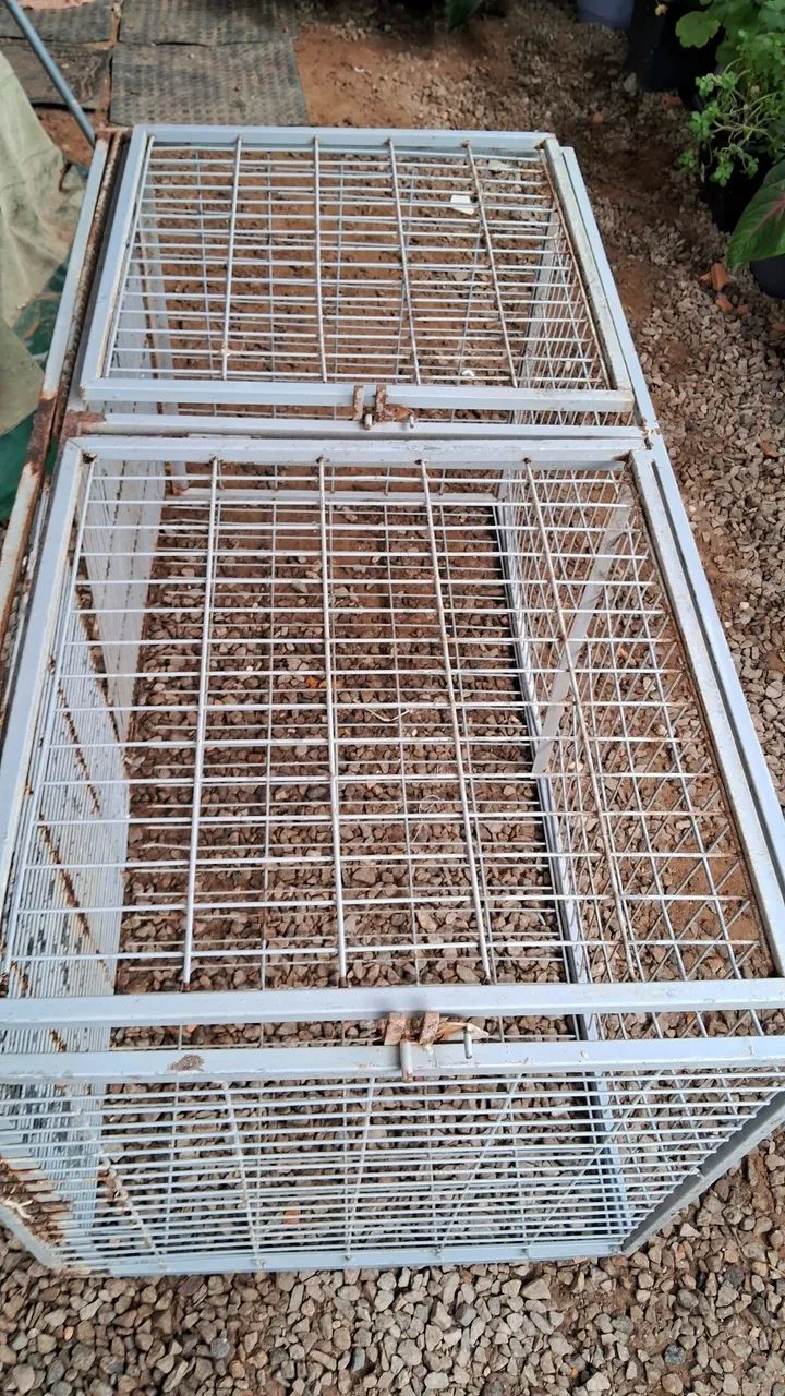 Gaiola  para criação de animais.  - Foto 2