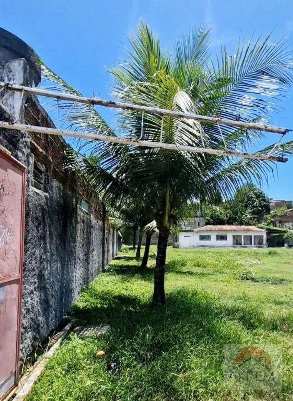 Terreno escriturado à venda, 1650 m² por R$ 849.000 - Jatobá - Olinda/PE - Foto 4