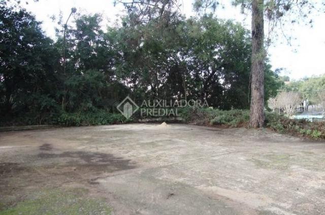 Terreno para alugar em Chácara das pedras, Porto alegre cod:282399 - Foto 5