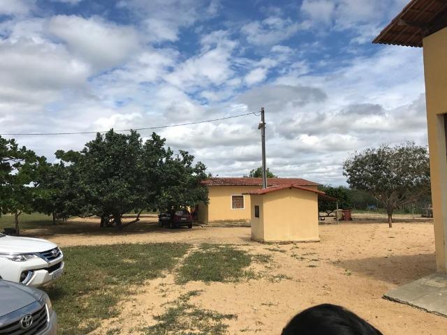Fazenda em Caiçara do Norte - 552 Hectares - Foto 10