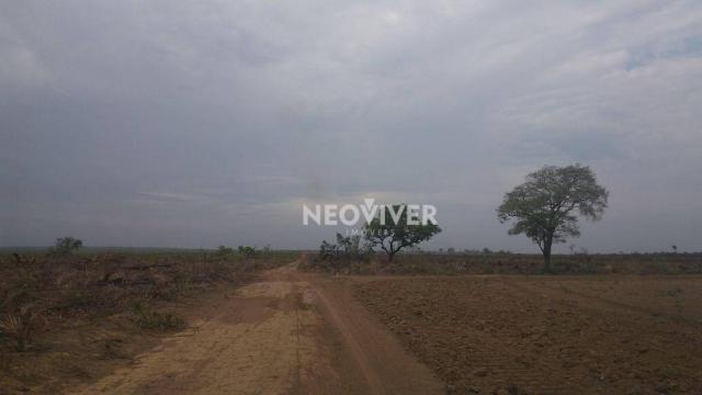 Fazenda campo belo! - Foto 14
