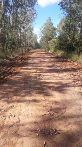 Fazenda campo belo! - Foto 19