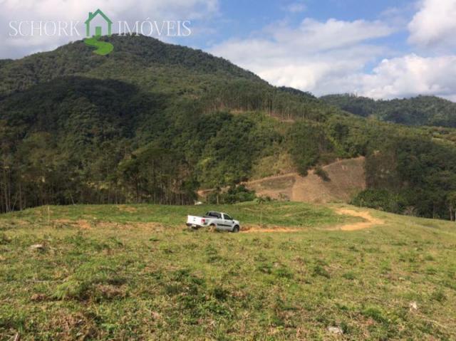 Sítio à venda em Alto cedros, Rio dos cedros cod:5975 - Foto 8