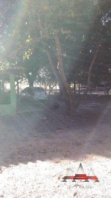 Chácara à venda em Pedra 90, Cuiabá cod:602 - Foto 15