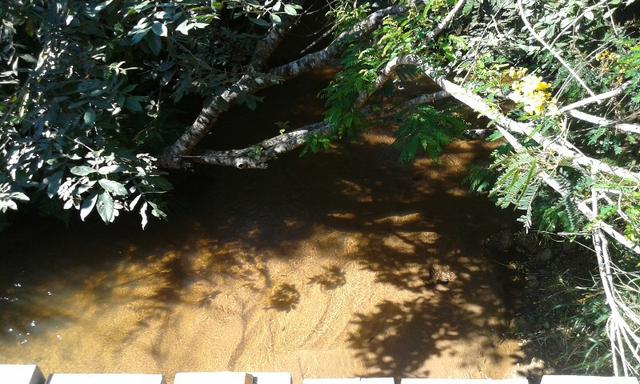 Vendo fazenda com 32 alqueres - Foto 3