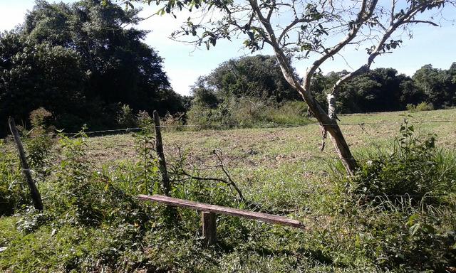 Vendo fazenda com 32 alqueres