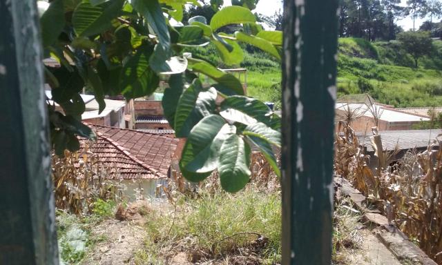 VENDO OU PERMUTO LOTE COM PROJETO APROVADO NO CAIÇARA!!! - Foto 5