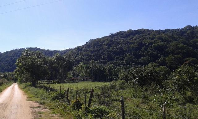 Vendo fazenda com 32 alqueres - Foto 6